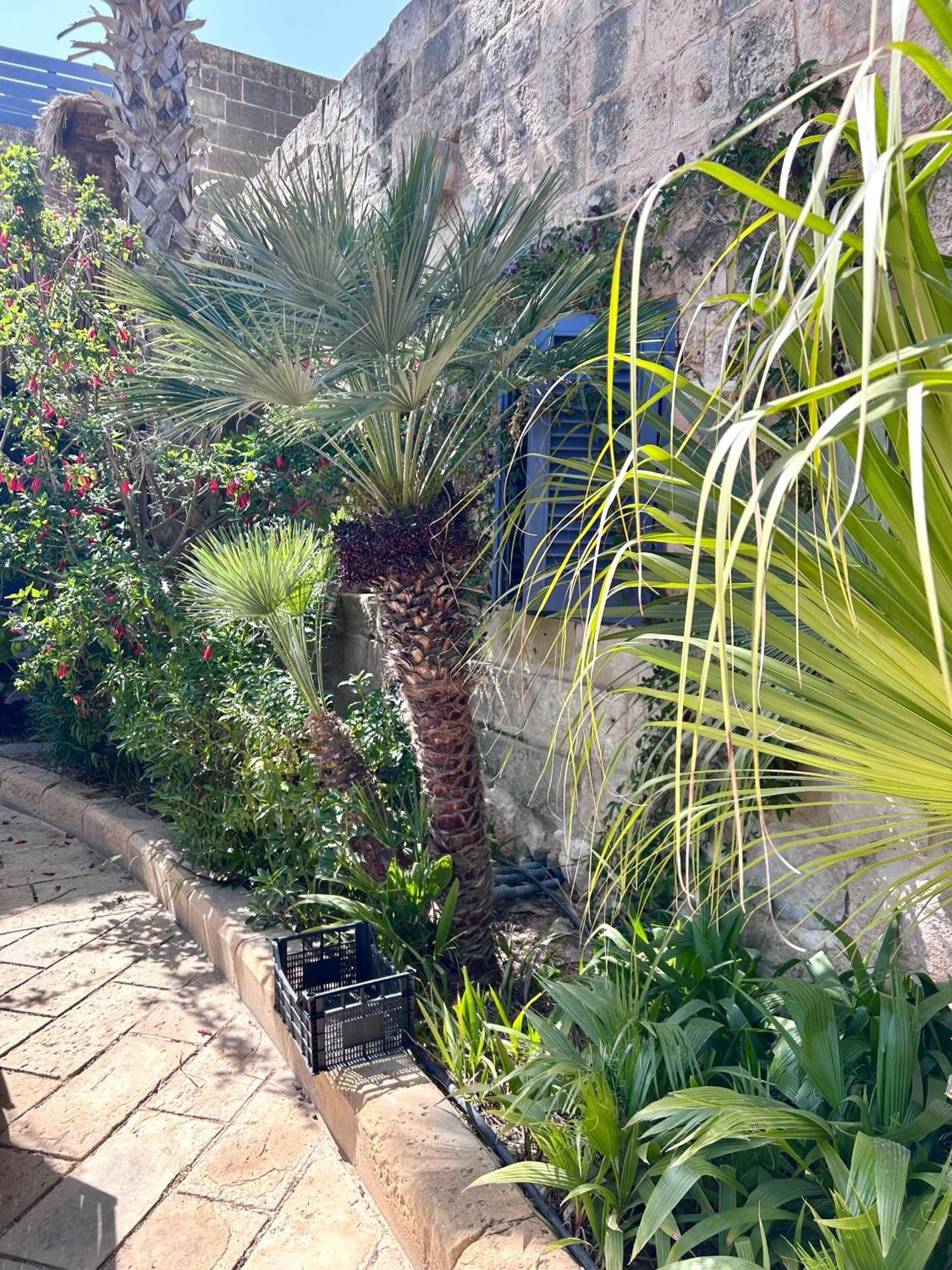 Ta Skorba Farmhouse Mgarr L-Imgarr Zewnętrze zdjęcie